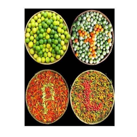 Presentati tes buta warna