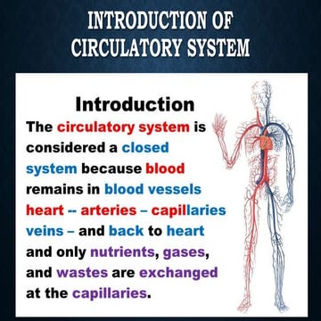 circulatory system for 7th class | PPTX
