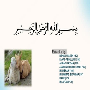 Sheep and goat detailing zoo management.pptx