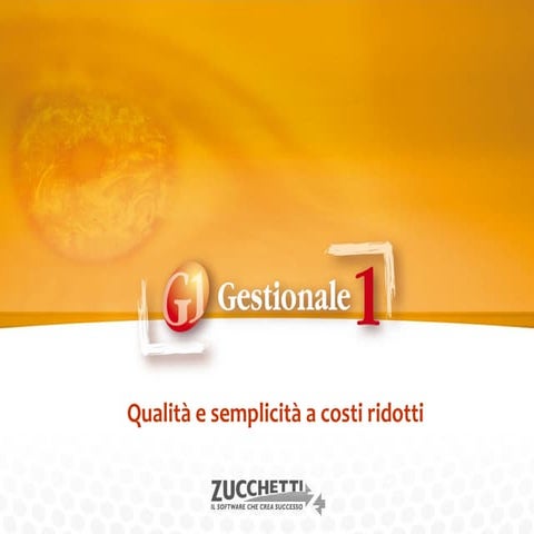 Gestionale 1 Zucchetti