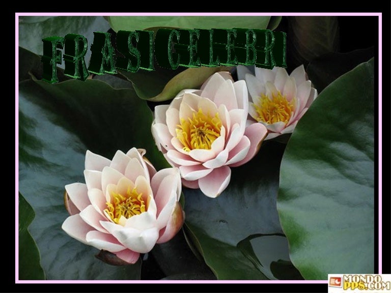 Presentazione2 Fiori E Frasi Celebri