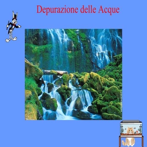Presentazione Acqua