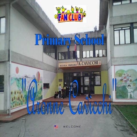 Presentazione cavicchi