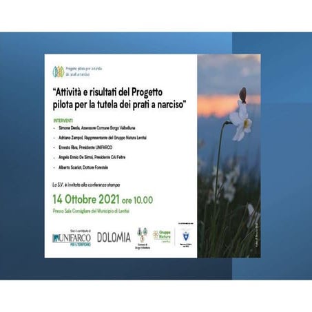 Progetto pilota di tutela del Narciso