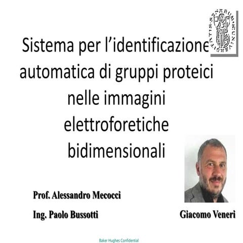 Giacomo Veneri Thesis 1999 University of Siena