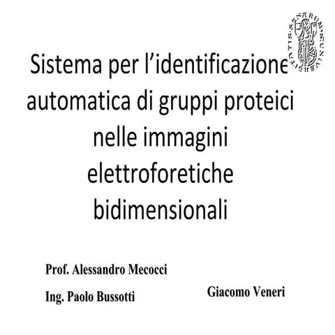 Giacomo Veneri Thesis