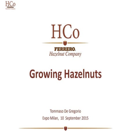 Tommaso De Gregorio: Growing Hazelnuts 