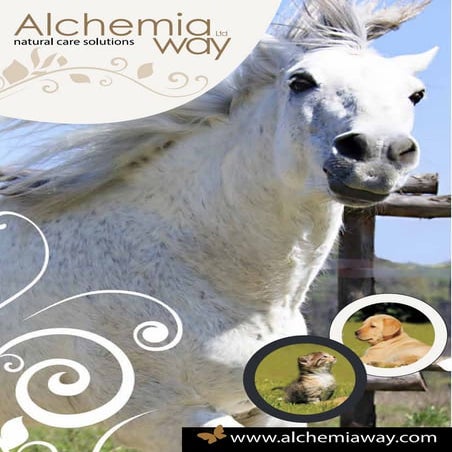 Presentazione Alchemia Way Ltd London