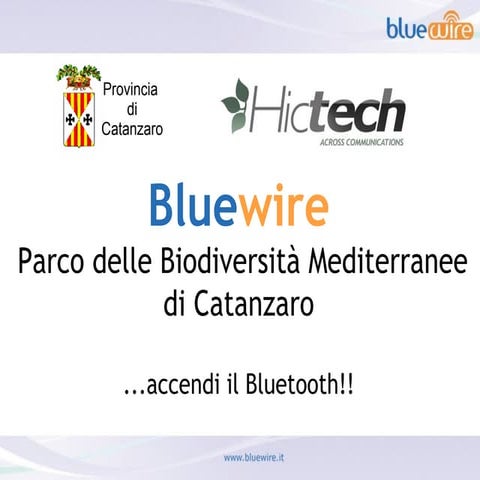 Installazione BlueWire 