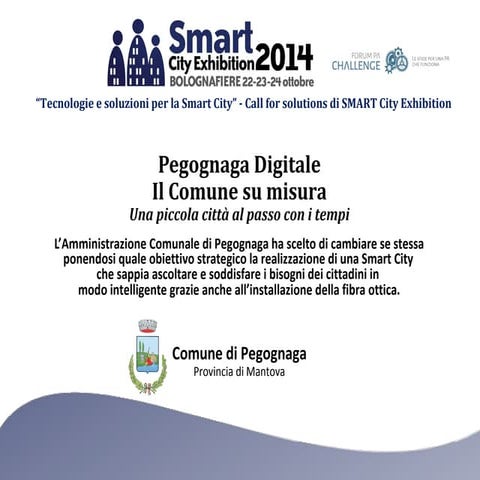 Pegognaga Digitale: il Comune su misura