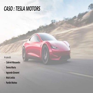 Project Work Tesla | PDF