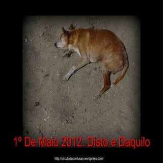 1º de Maio 2012. Disto e Daquilo