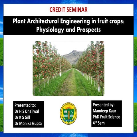 Plant Architectural Engineering in fruit crops: Physiology and Prospects 