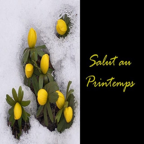 Presentes de deus para vc !!