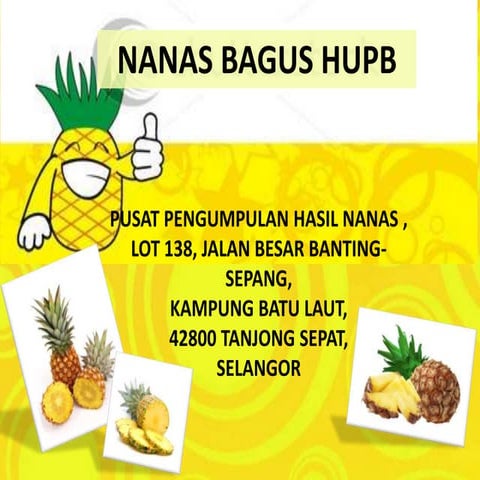 Nanas Bagus HUPB