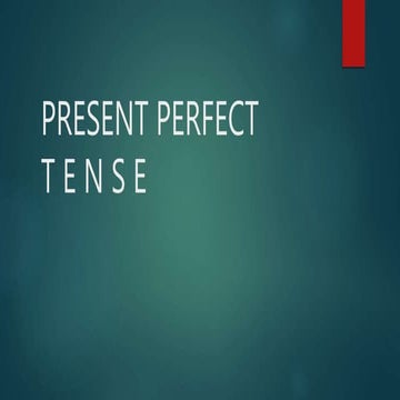 Present perfect mag