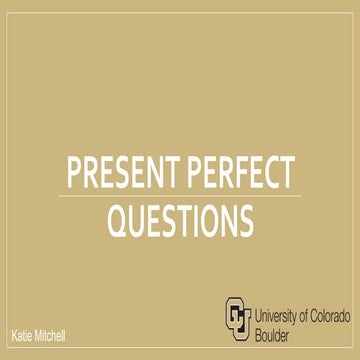 Present Perfect Questions
