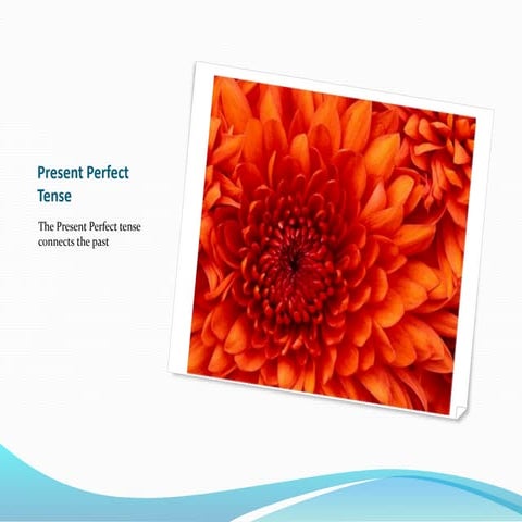 Present perfect tense