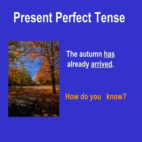 Present Perfect Tense