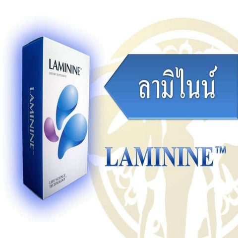 Present Product Laminine Jpeg