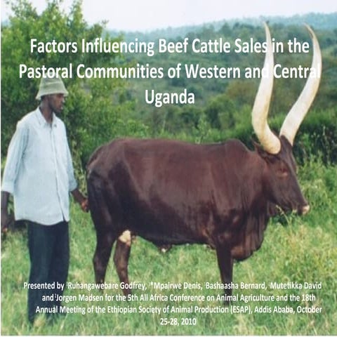 Factors Influencing Beef Cattle Sales in the Pastoral Communities of Western ...