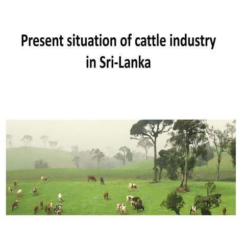Present situation of cattle industry in Sri-Lanka