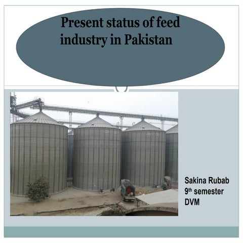 Present status of feed industry in Pakistan 