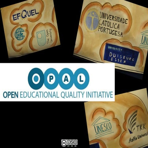 Guidelines on Open Educational Practices