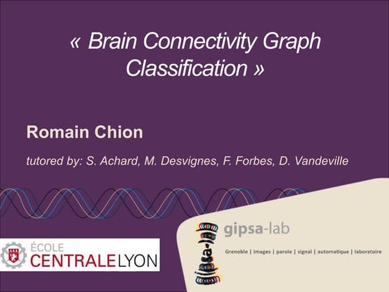 Presentation Internship Brain Connectivity Graph 2014 (ENG)
