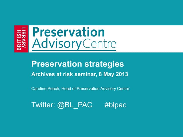 Preservation strategies web
