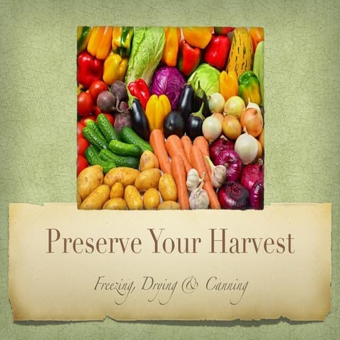 Preserve Your Harvest