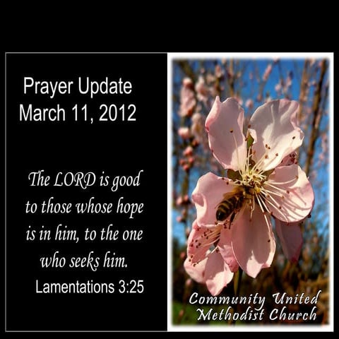 Slides for March 11, 2012 | PPT
