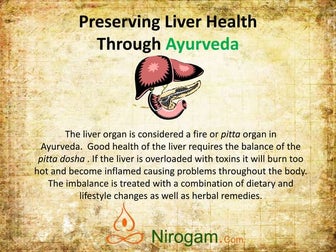 Preserving liver health through ayurveda by Nirogam.com