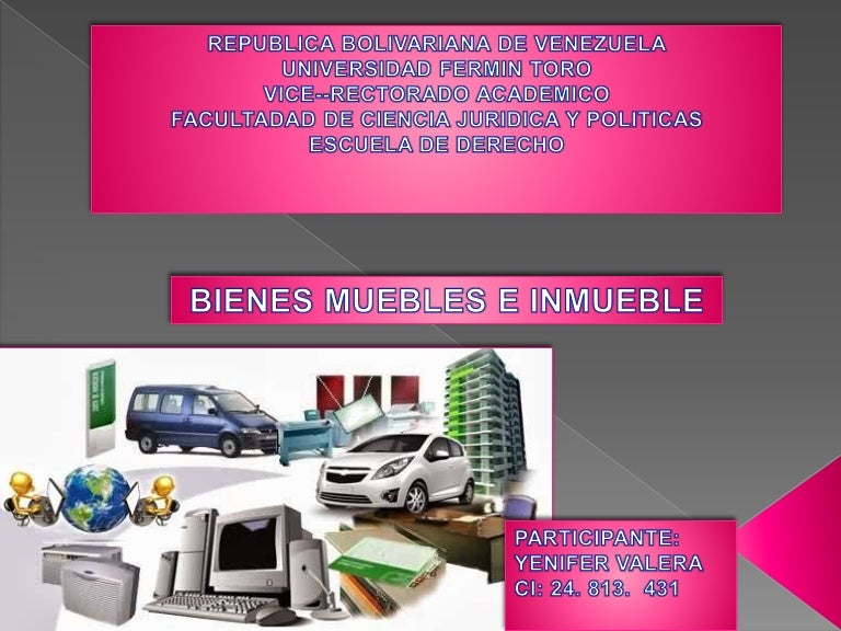 BIENES MUEBLES E INMUEBLES