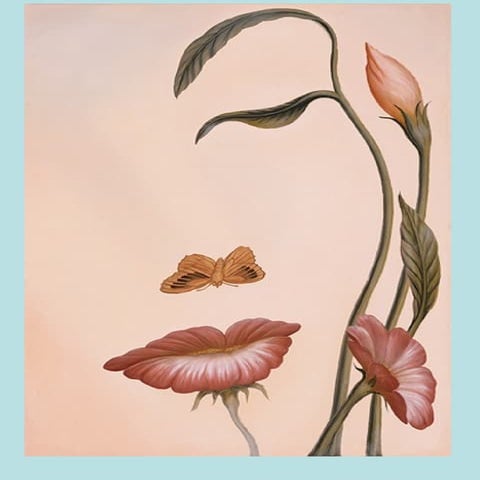 Percepción:  Imágenes II