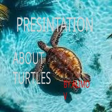 Comprehensive Presentation on Turtles: Habitat, Diet, Types, and ...