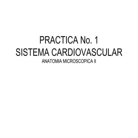 Práctica 2 AMI II | PPT