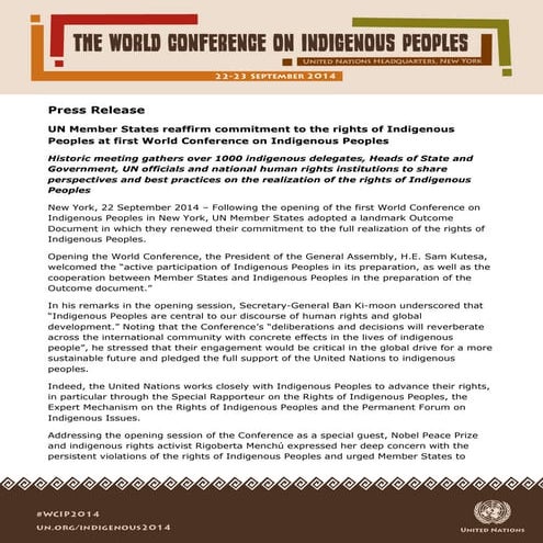 Understanding and Implementing the UN DECLARATION ON THE RIGHTS OF ...