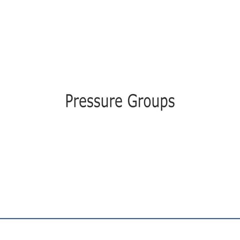 pressuregroups-100328173950-phpapp01.pdf