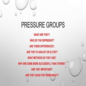 Pressure groups  the big picture