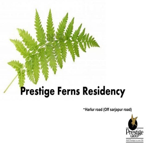 Prestige ferns residency Haralur road Off Sarjapur main road