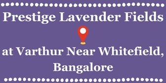 Prestige Lavender Fields Varthur Whitefield Bangalore.pdf.pdf