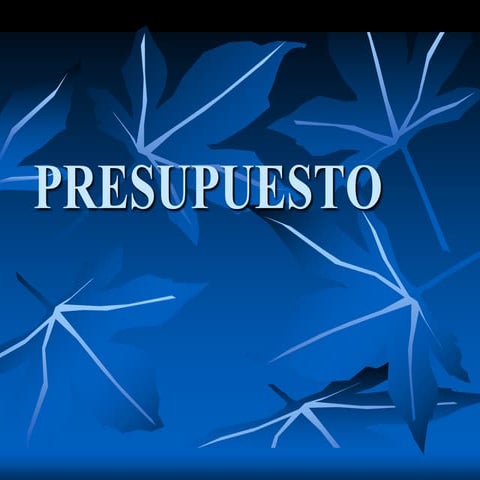 Presupuesto