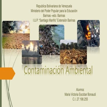 Contaminacion Ambiental