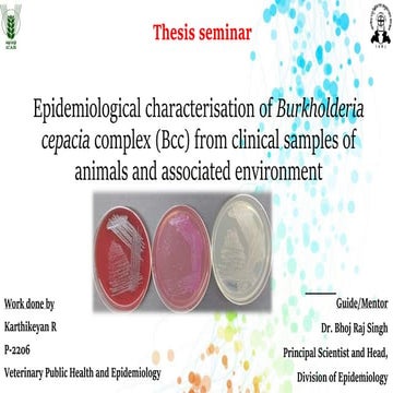 Epidemiological characterisation of Burkholderia cepacia complex (Bcc) from c...