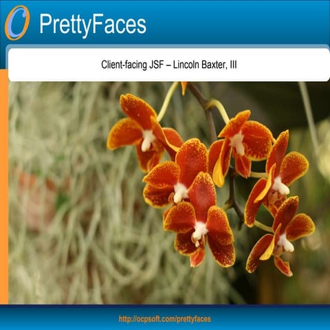 PrettyFaces: SEO, Dynamic, Parameters, Bookmarks, Navigation for JSF / JSF2 (...