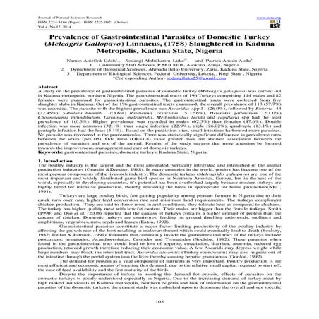 Prevalence of gastrointestinal parasites of domestic turkey