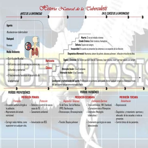Historia Natural de la Tuberculosis