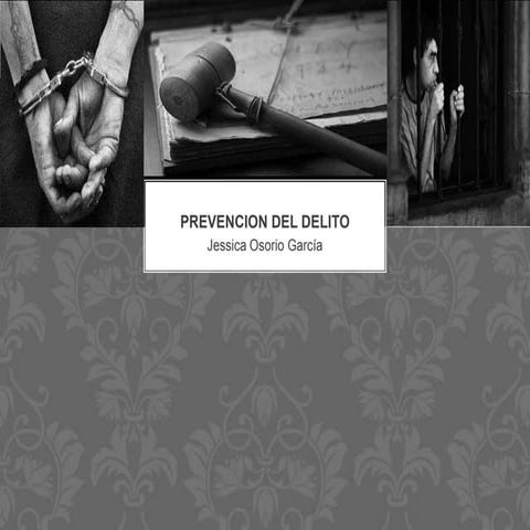 Prevencion del delito | PPTX