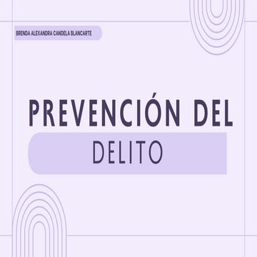 Estrategias Integrales para la Prevención del Delito y la Tortura en ...